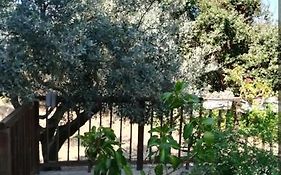 Ampio Open Space Indipendente